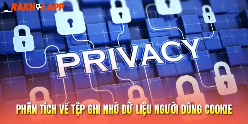 Phân tích về tệp ghi nhớ dữ liệu người dùng cookie