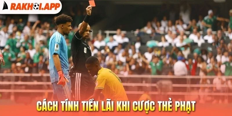 Kèo Thẻ Phạt - Cách Đọc Cùng Mẹo Cá Độ Cực Kỳ Chuẩn Xác 2 Cách tính tiền lãi khi cược thẻ phạt